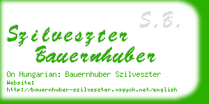 szilveszter bauernhuber business card